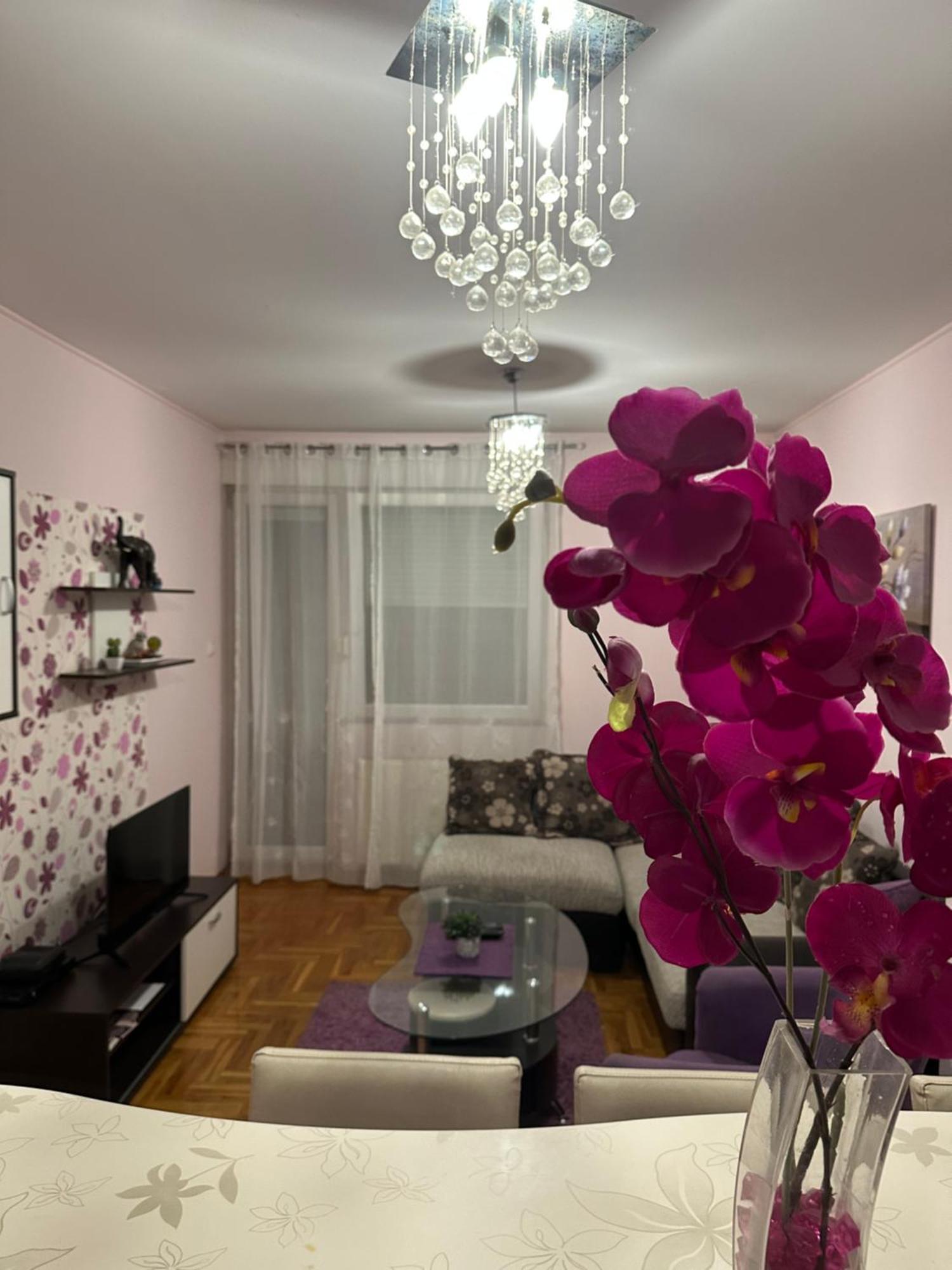 Апартаменты Apartman Ivana Нови-Сад Экстерьер фото
